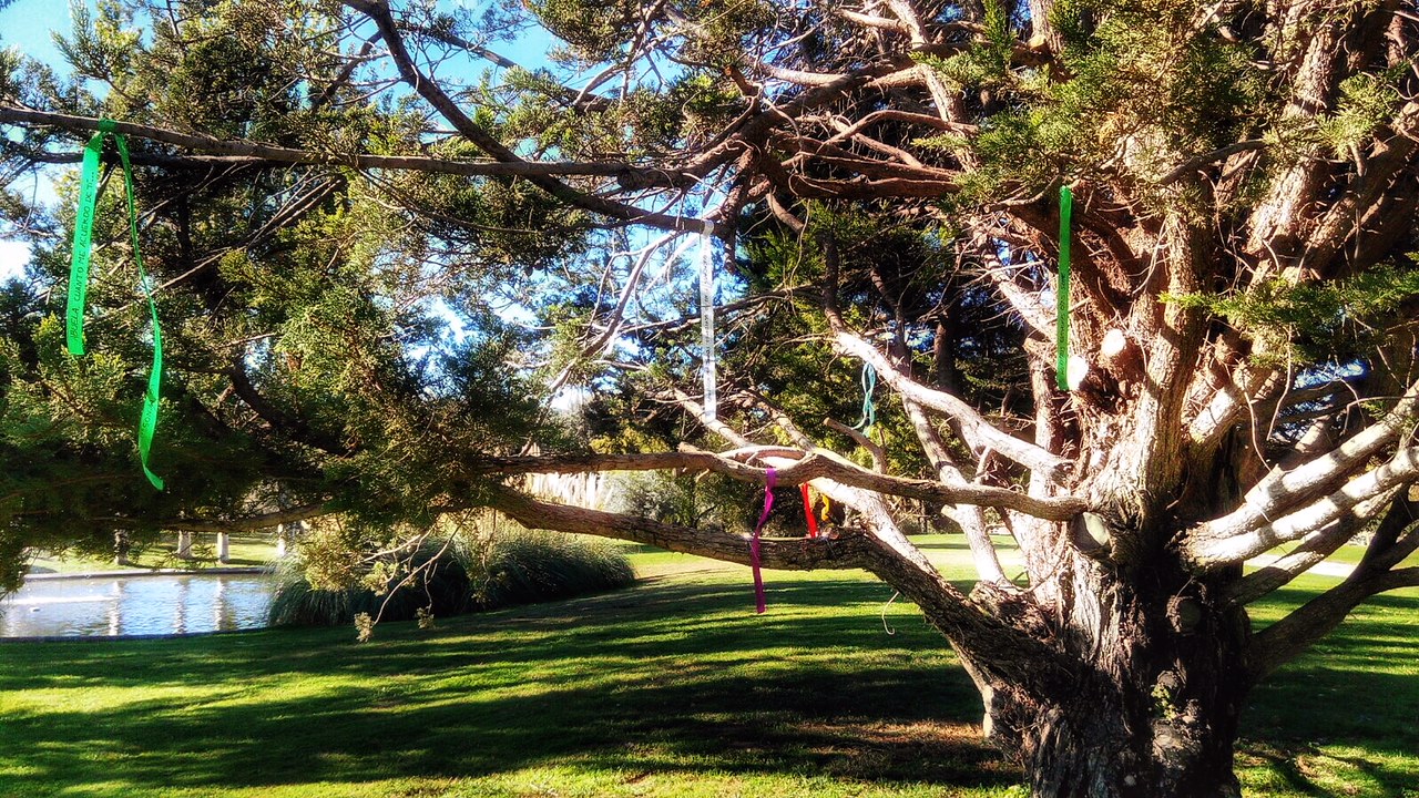 Cintas de colores llenarán un árbol del Cementerio Jardín de Alcalá de Henares para homenajear a los fallecidos